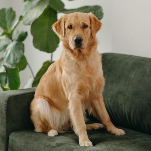 HardingPropertyLawHeadshots2026-16