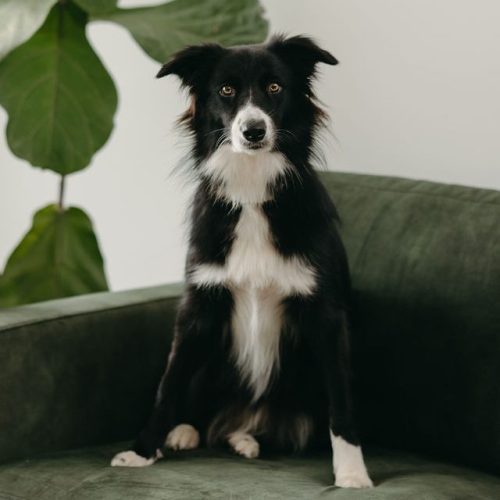 HardingPropertyLawHeadshots2026-18